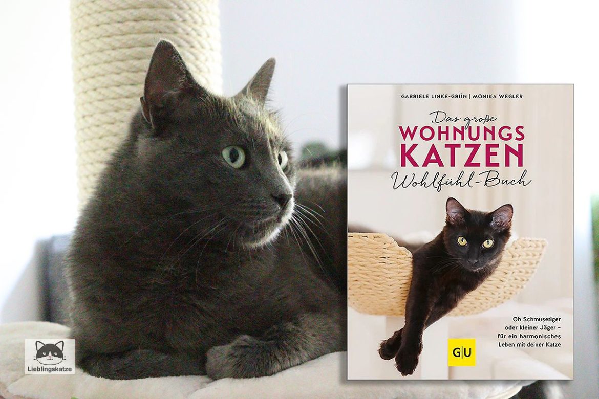 Titel Wohnungskatzen Wohlfühlbuch