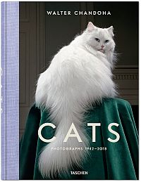 Cover: Walter Chandhoha, Cats