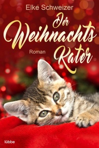 Cover: Der Weihnachtskater