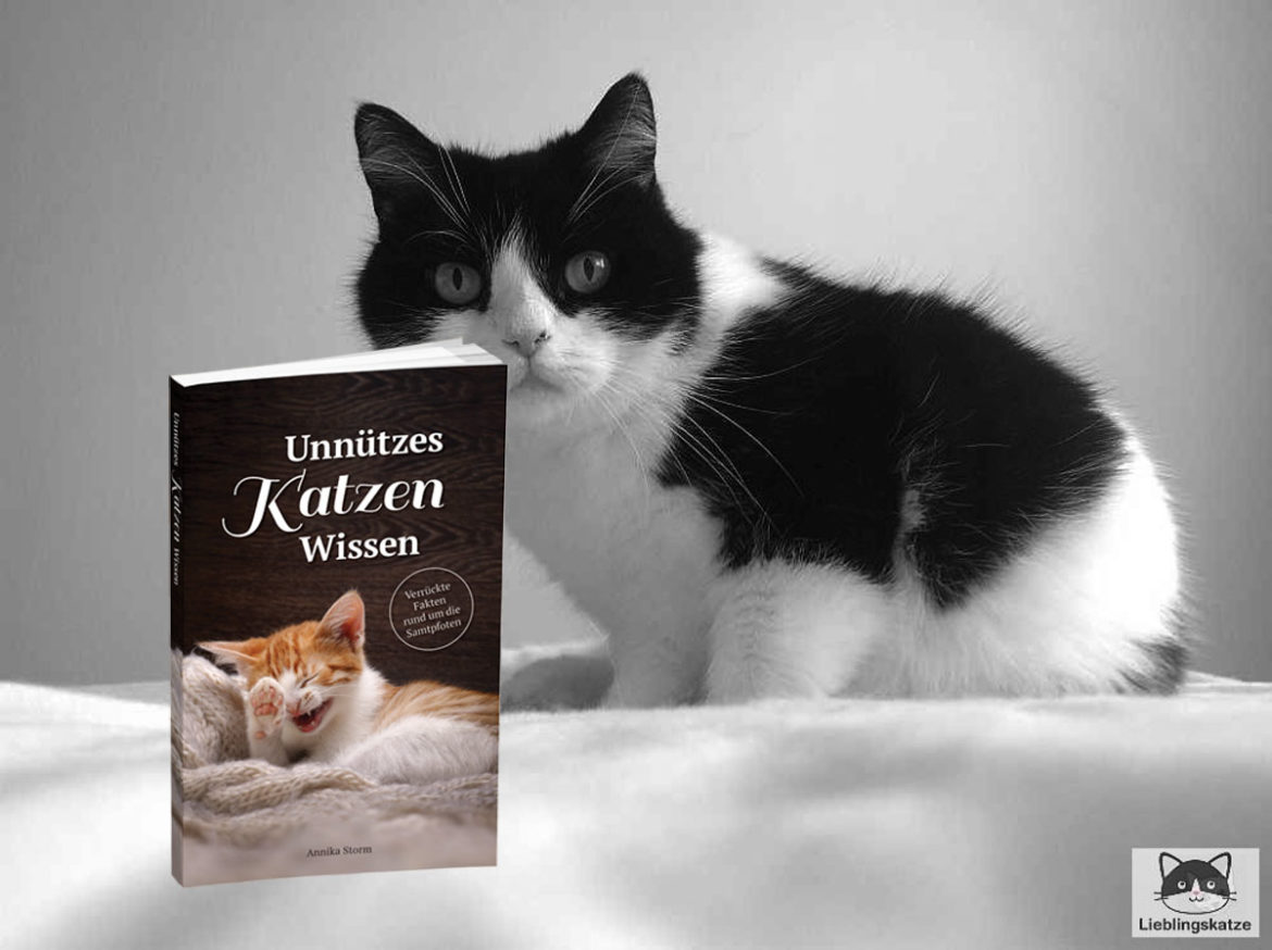 Elvis_Buch_unnützes_Katzenwissen