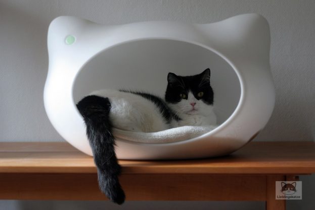 Katze pinkelt auf badematte - Die qualitativsten Katze pinkelt auf badematte verglichen
