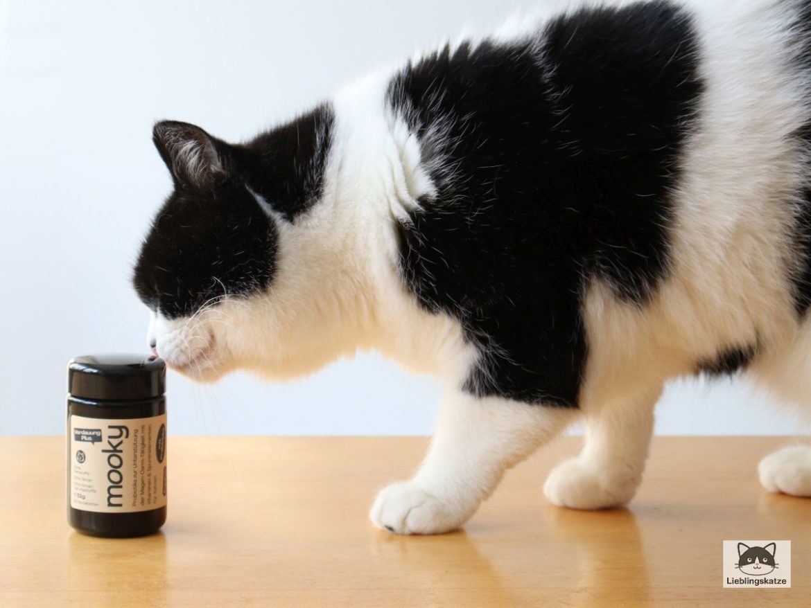 Katze mit "Verdauung Plus" von mooky