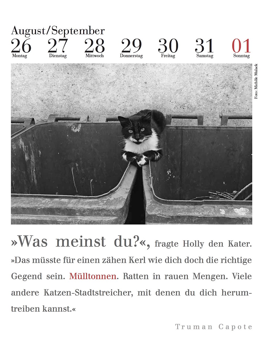 Kalenderblatt literarischer Katzenkalender 2019