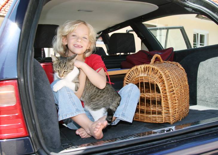 Mädchen mit Katze im Auto