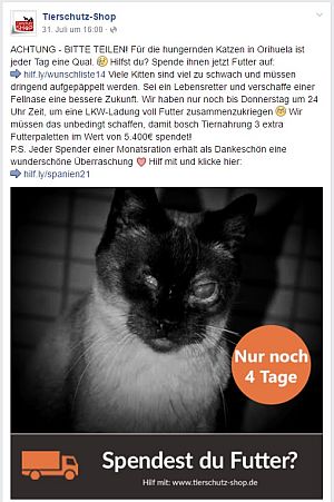 Tierschutz-Shop: Blinde Katze