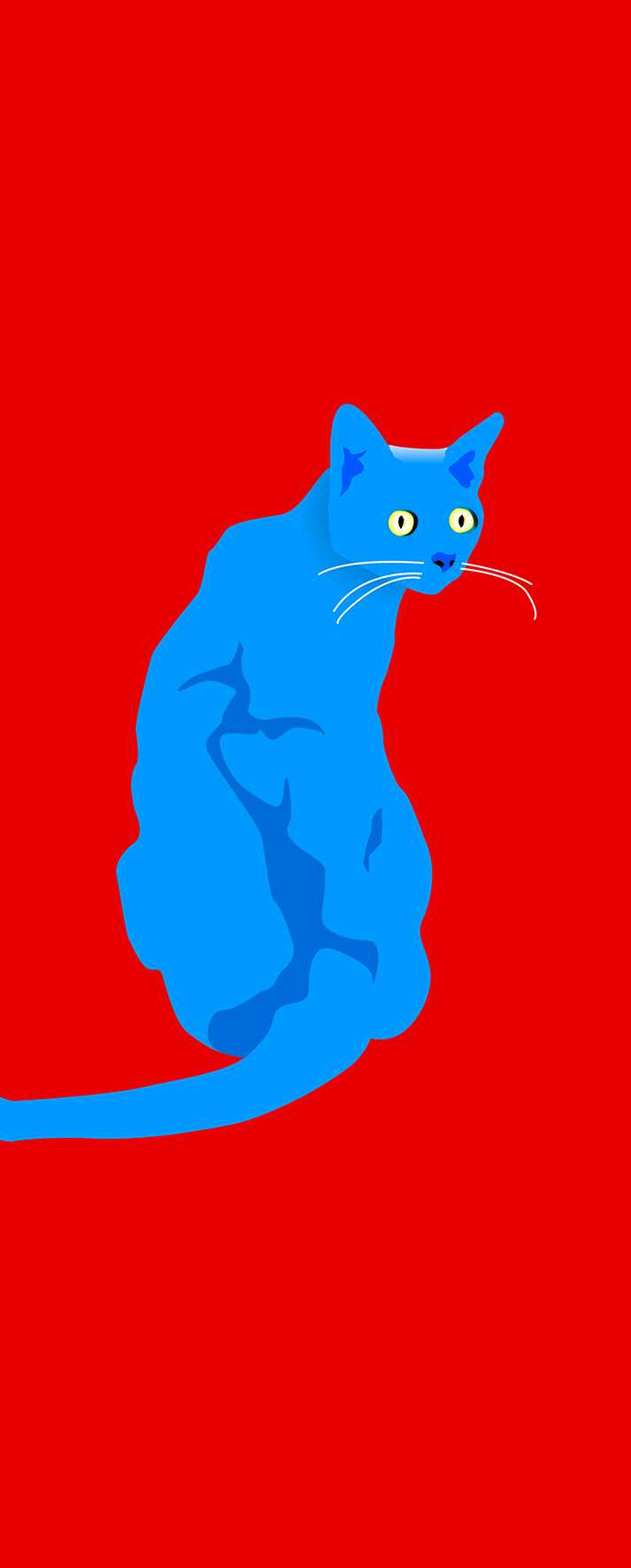 Sebastiano Ranchetti: Blaue Katze