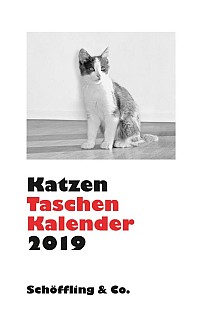 Katzen Taschenkalender 2019