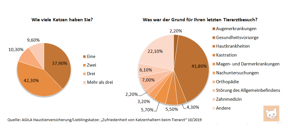 Katzenhalterumfrage: Anzahl, Krankheiten