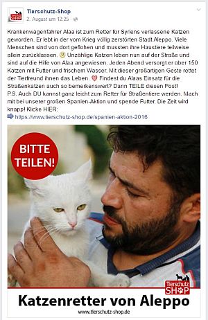 Katzenretter von Aleppo