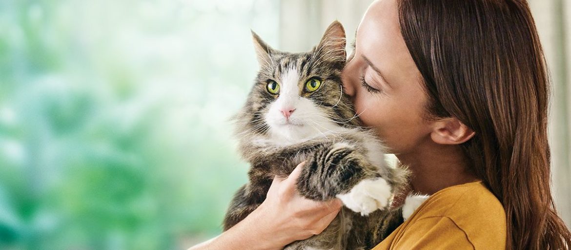 Katzenallergene: Frau mit Katze