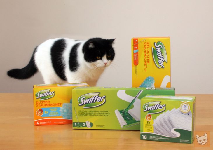 Swiffer Packungen und Katze