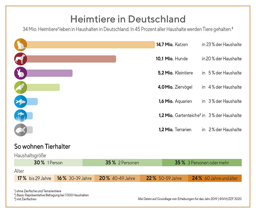 Wie viele Katzen leben in Deutschland